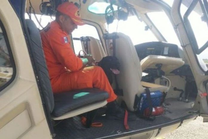 Equipes do CBM-AL e da Polícia fazem buscas na mata para localizar desaparecidos