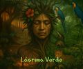 Lágrima Verde - Um canto de alerta e resistência da banda alagoana Anauê S.A