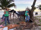 Após denúncias, barracos irregulares e fogueiras são removidos da Praia da Avenida