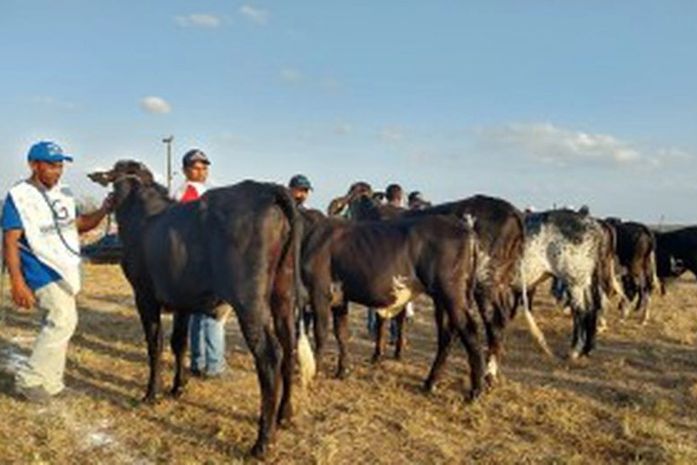 Expo no sertão será marcada por “encontros e desencontros” de políticos