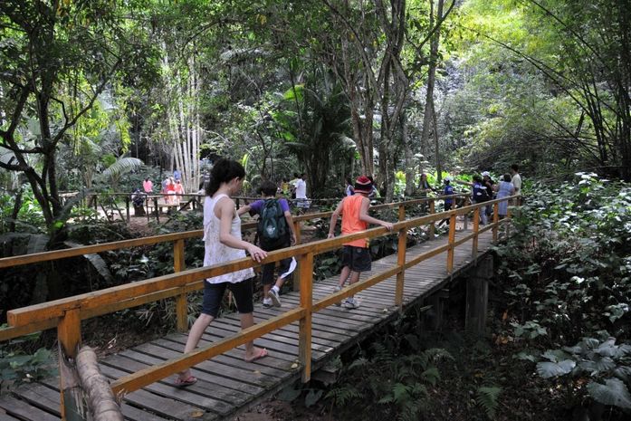 Trilha no Parque Municipal