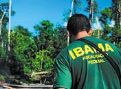 Ibama pode contratar 1.481 trabalhadores temporários