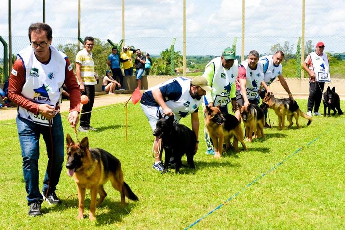 Arapiraca será palco nordestino da 10ª Exposição de Criação de Pastores Alemães