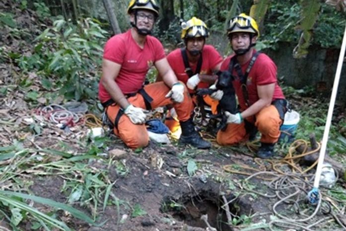 Cadela é resgata após cair em fossa desativada no Barro Duro