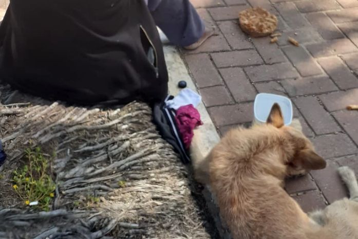 A moça me deu uma macarronada azeda, nem meu cachorro comeu- diz Quitéria