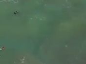 Criança de 12 anos é resgatada por bombeiros após ficar à deriva na praia de Jacarecica, em Maceió