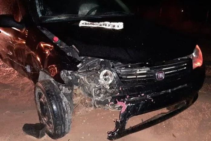 Condutor desviou de cachorro, mas acabou provocando acidente