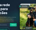 Startup cria plataforma gratuita que transforma cães em "celebridades digitais" ao redor do mundo