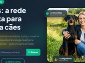 Startup cria plataforma gratuita que transforma cães em "celebridades digitais" ao redor do mundo
