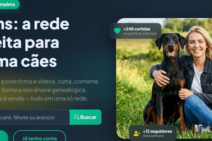 Startup cria plataforma gratuita que transforma cães em "celebridades digitais" ao redor do mundo