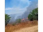 Incêndio de grandes proporções atinge vegetação em Batalha
