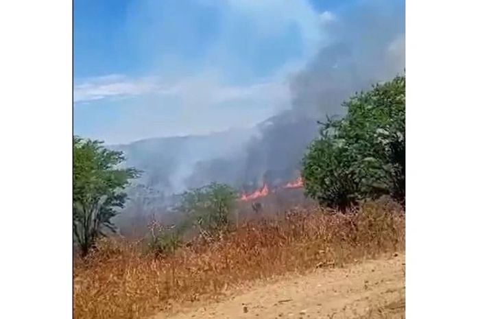 Incêndio de grandes proporções atinge vegetação em Batalha