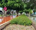 Arapiraca abre consulta pública para construção do Plano de Mobilidade Urbana

