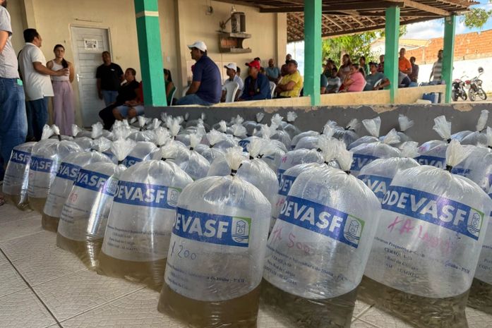 Criação de peixe em tanques escavados gera emprego e renda para agricultores penedenses