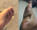 Novas manchas de óleo são encontradas em praias do Litoral Sul de Alagoas