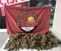 Mais de 4 kg de maconha são apreendidos em Arapiraca e Mata Grande; ações também resultam em prisões e apreensão de armas