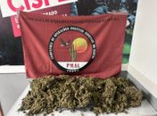 Mais de 4 kg de maconha são apreendidos em Arapiraca e Mata Grande; ações também resultam em prisões e apreensão de armas