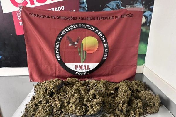 Mais de 4 kg de maconha são apreendidos em Arapiraca e Mata Grande; ações também resultam em prisões e apreensão de armas