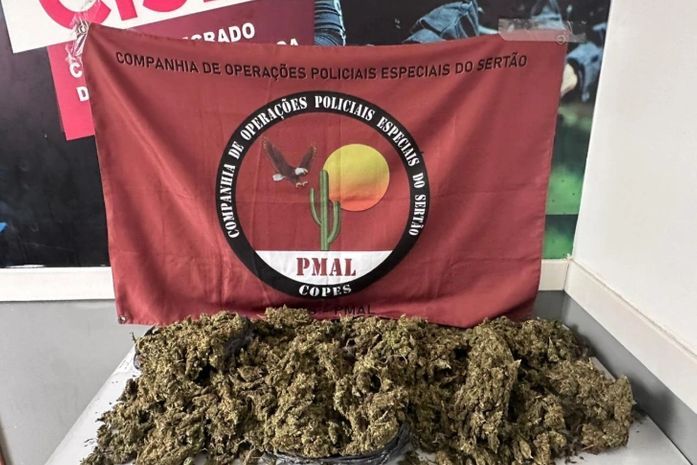 Mais de 4 kg de maconha são apreendidos em Arapiraca e Mata Grande; ações também resultam em prisões e apreensão de armas