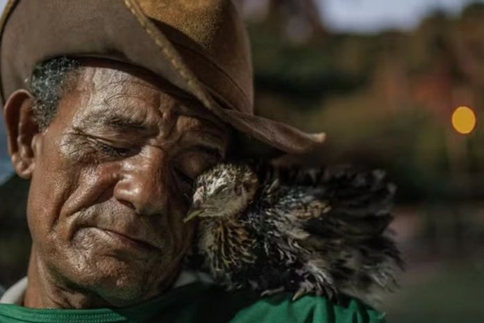 Foto premiada pela NatGeo retrata tragédia socioambiental em Maceió