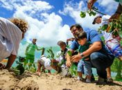 Marcelo Palmeira participa da nona edição do Clean Up Day