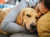 Os 7 cães mais leais: conheça raças que nunca abandonam seus tutores