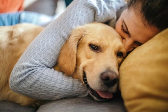 Os 7 cães mais leais: conheça raças que nunca abandonam seus tutores