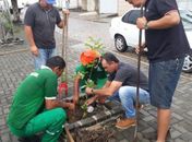 Prefeitura de Anadia inicia serviço de arborização com plantio de mudas em área urbana