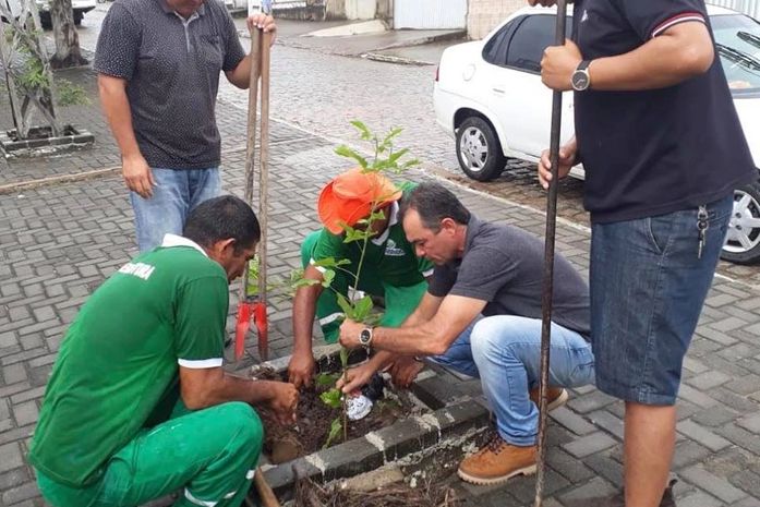 Prefeitura de Anadia inicia serviço de arborização com plantio de mudas em área urbana