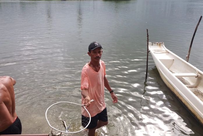 Pescadores encontram peixes mortos em Lagoa Manguaba