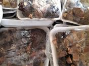 Cerca de uma tonelada de alimentos estragados é apreendida em supermercado de grande porte