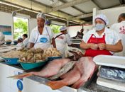 Consumidores movimentam Centro Pesqueiro à procura por peixes e frutos do mar
