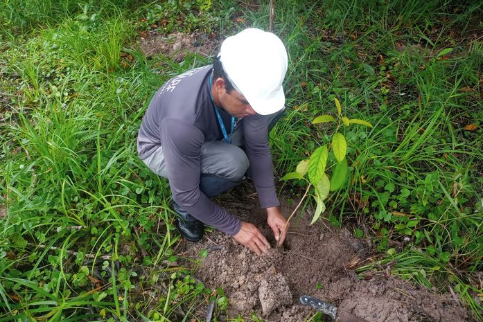 BRK realiza projeto de compensação ambiental na APA Catolé