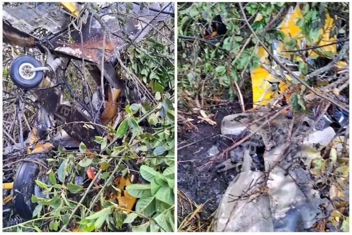 Terras da Usina Porto Rico, na Zona Rural do município de Campo Alegre
