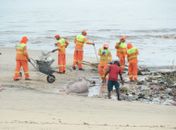 Alurb recolhe mais de 200 toneladas de resíduos após chuvas fortes na capital
