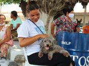 Prefeitura de Coruripe realiza 1ª Feira de Adoção de Animais na próxima quarta-feira (21)