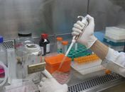 Laboratórios de países em desenvolvimento debatem mercado de vacinas