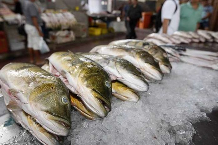 Vai comprar o pescado para semana santa? Confira os preços dos produtos divulgados pelo Procon