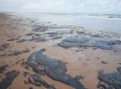 Consumidor pode remarcar viagem a praias atingidas por mancha de óleo