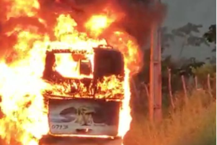 Vídeos: ônibus de turismo incendeia em rodovia do litoral Norte, na AL-105