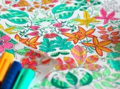 1º Encontro de Colorir de Maceió 