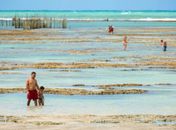 Alagoas: apesar das belezas naturais, dificuldades para ser um bom ambiente de negócios