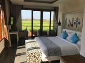 Vai viajar? Conheça a plataforma de hospedagem Airbnb; saiba se é confiável