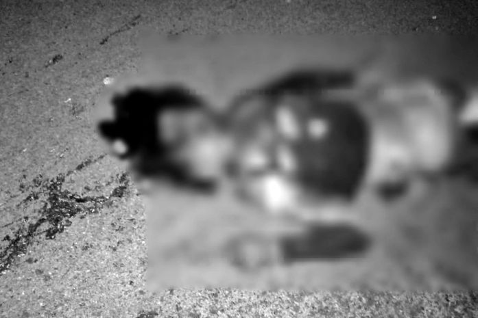 Motociclista morre esmagado após colidir com animal solto na pista