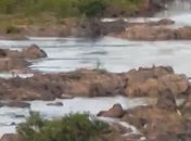 Corpo de homem que desapareceu após fortes chuvas, em Piranhas, é encontrado no Rio São Francisco, em Sergipe