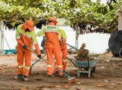 Operação Bairro Sustentável vai ao Dique Estrada e leva dignidade e cidadania para a população