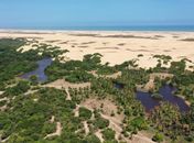 Justiça determina que Piaçabuçu cumpra acordo para defesa de área de proteção ambiental