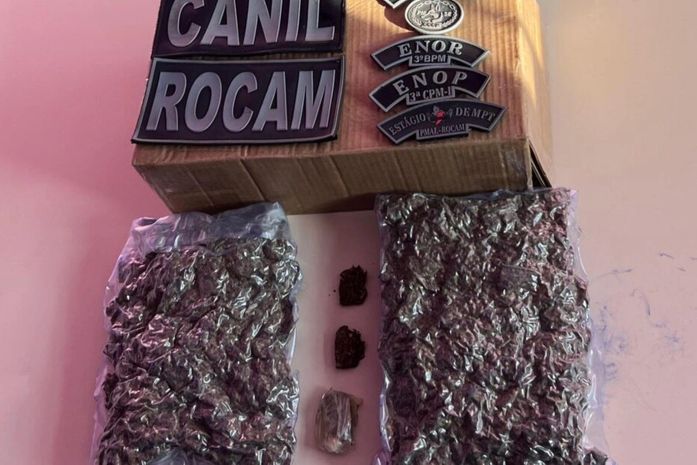 PM apreende drogas entre Arapiraca e Craíbas