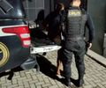 Homem com mandado de prisão em aberto é preso em flagrante por furto em Pajuçara