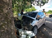 Vítima colidiu carro com árvore em trecho da AL 210